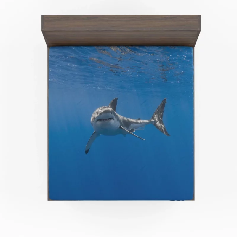 Shark Underwater Pursuit Ocean Drama Fitted Sheet 1