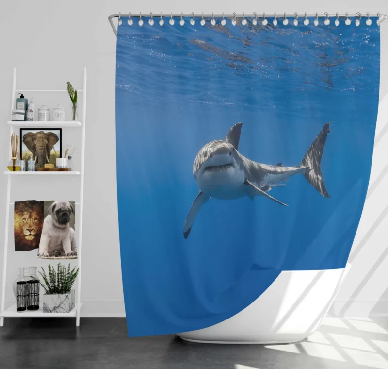 Shark Underwater Pursuit Ocean Drama Shower Curtain