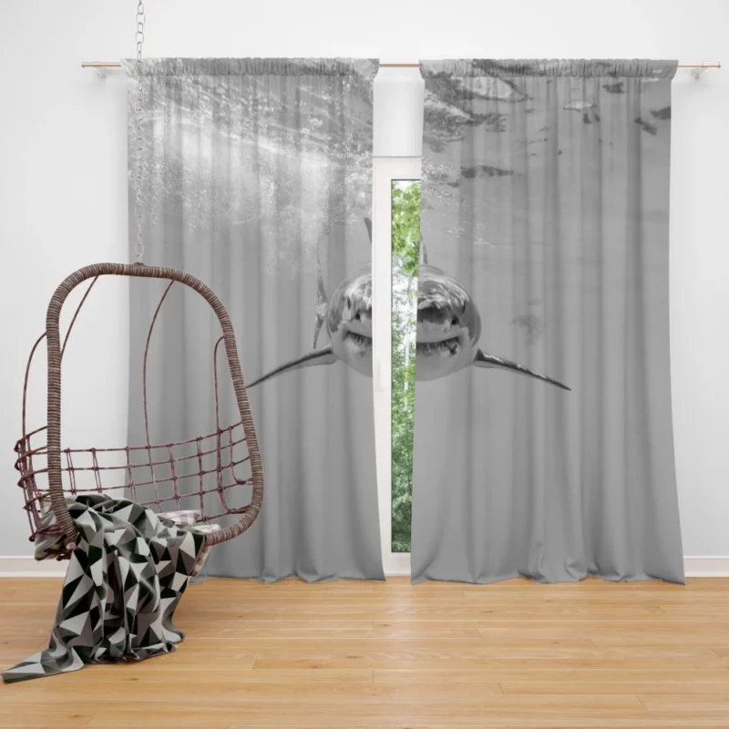 Shark in Underwater Realm Aquatic Majesty Curtain