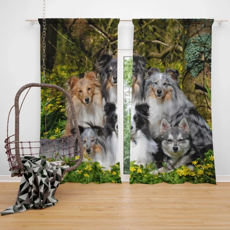 Sheltie and Alaskan Klee Kai Gathering Curtain