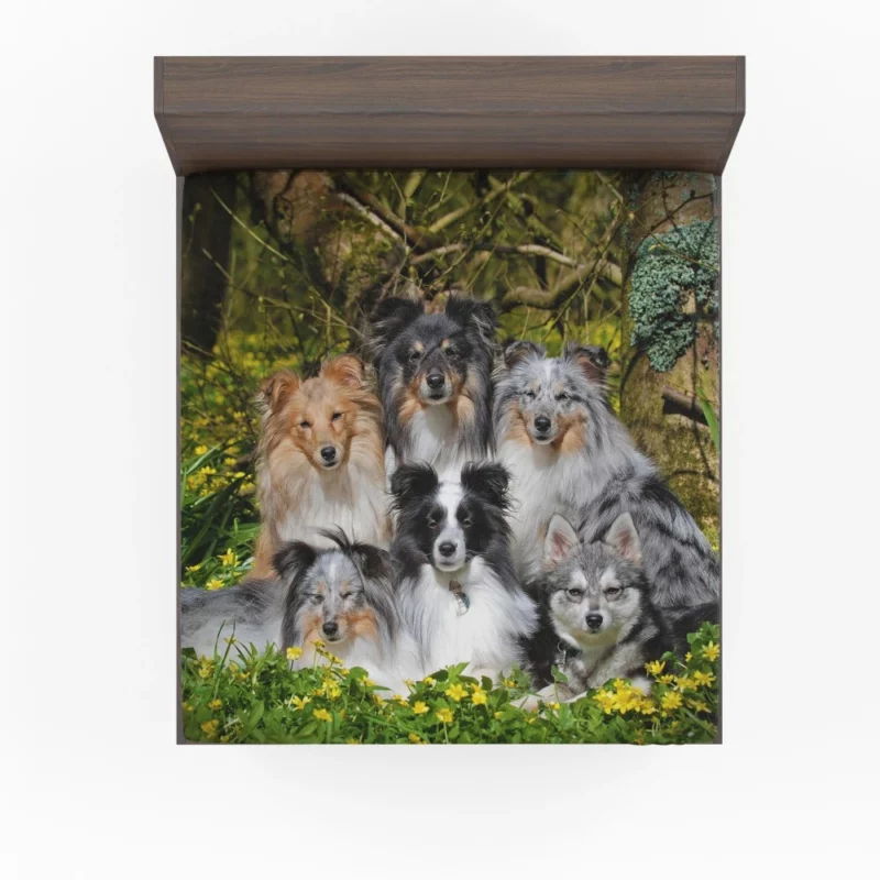 Sheltie and Alaskan Klee Kai Gathering Fitted Sheet 1