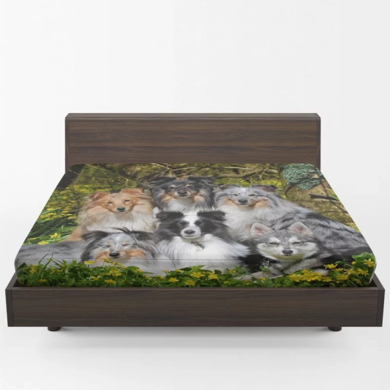 Sheltie and Alaskan Klee Kai Gathering Fitted Sheet