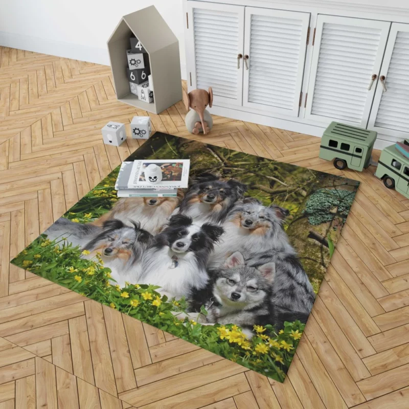 Sheltie and Alaskan Klee Kai Gathering Rug 1