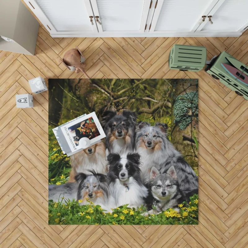 Sheltie and Alaskan Klee Kai Gathering Rug