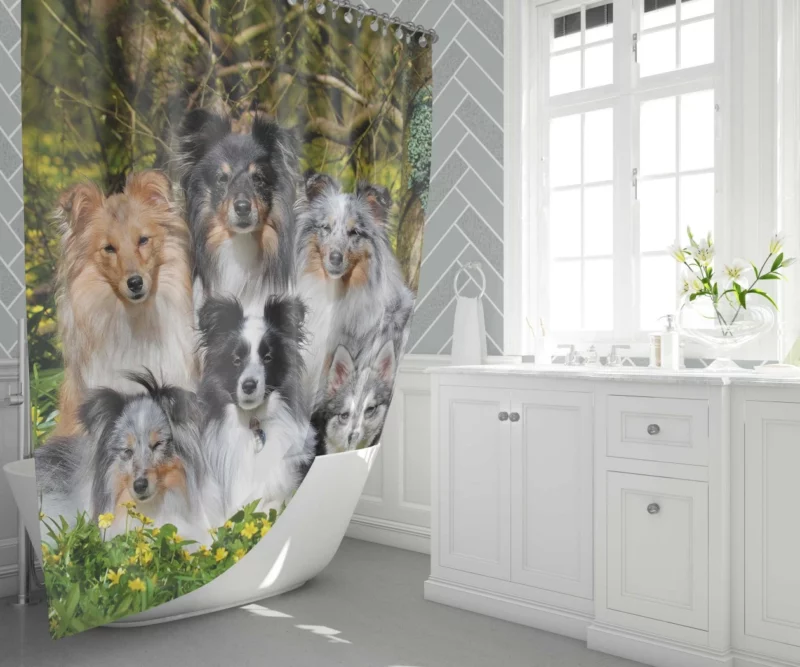 Sheltie and Alaskan Klee Kai Gathering Shower Curtain 1