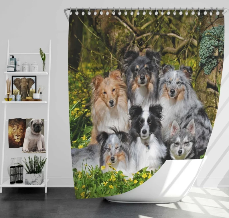 Sheltie and Alaskan Klee Kai Gathering Shower Curtain