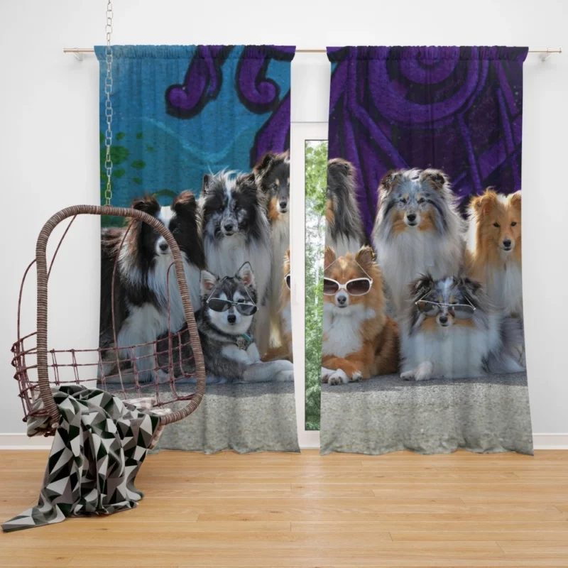 Sheltie and Alaskan Klee Kai in Cute Sunglasses Curtain