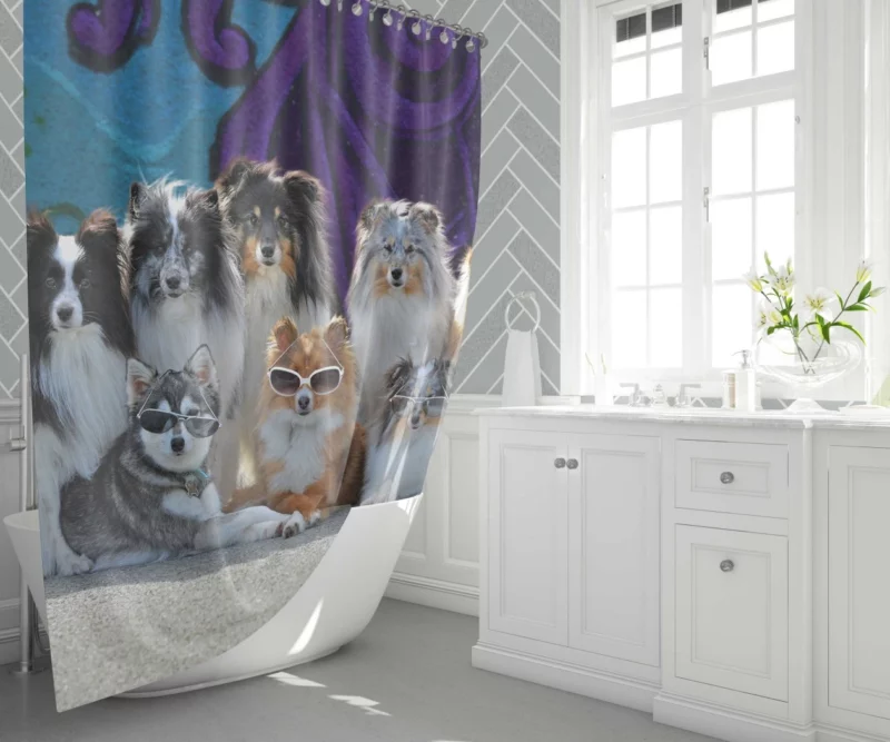 Sheltie and Alaskan Klee Kai in Cute Sunglasses Shower Curtain 1