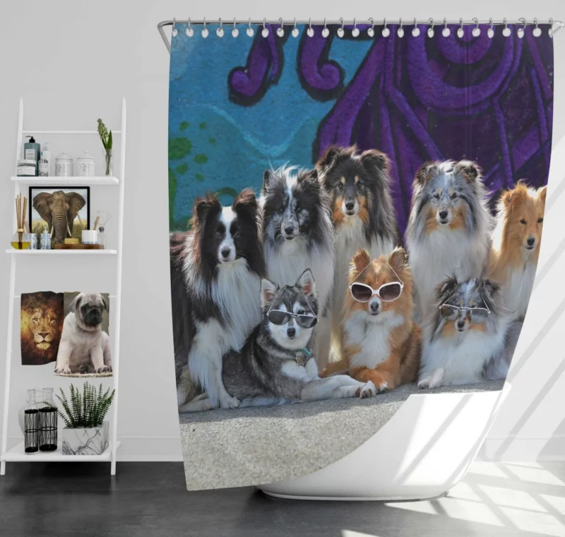 Sheltie and Alaskan Klee Kai in Cute Sunglasses Shower Curtain