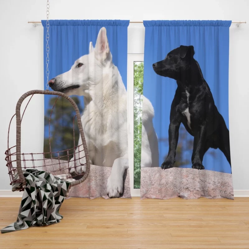 Shepherd and Terrier Duo Loyal Companions Curtain