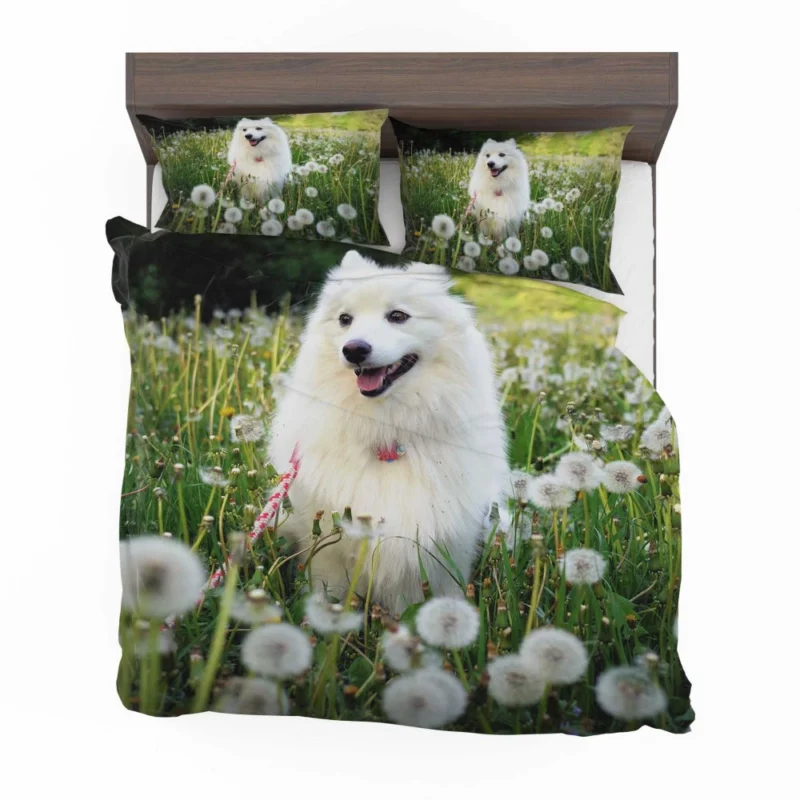 Shetland Sheepdog Amidst Dandelions Bedding Set 1