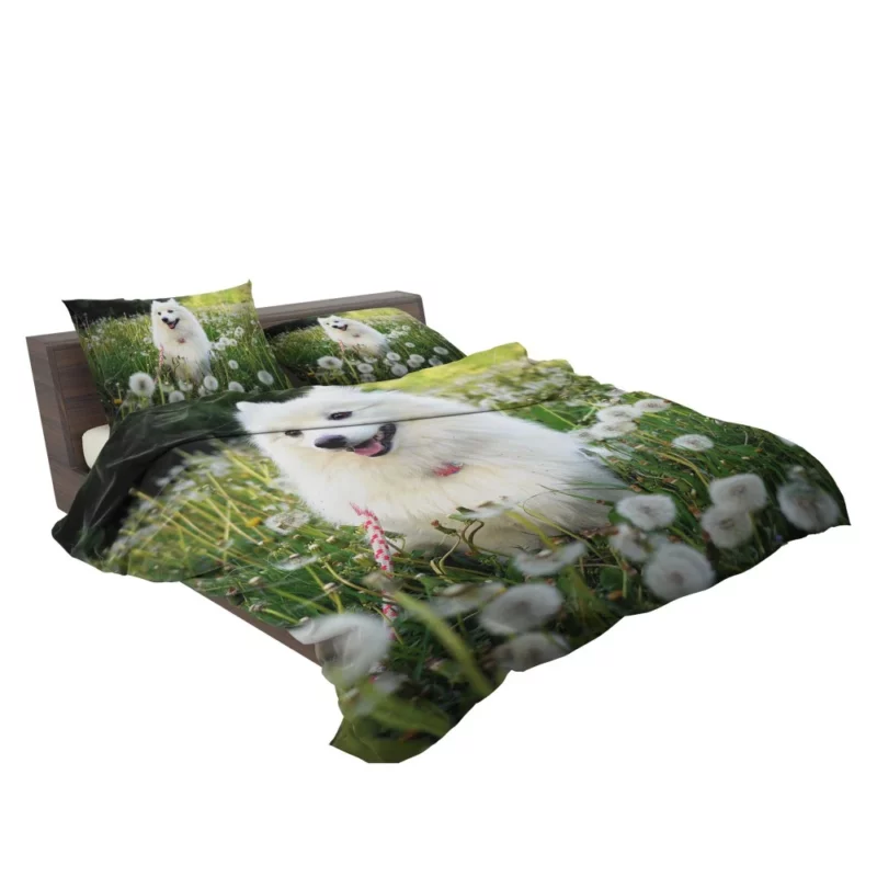 Shetland Sheepdog Amidst Dandelions Bedding Set 2