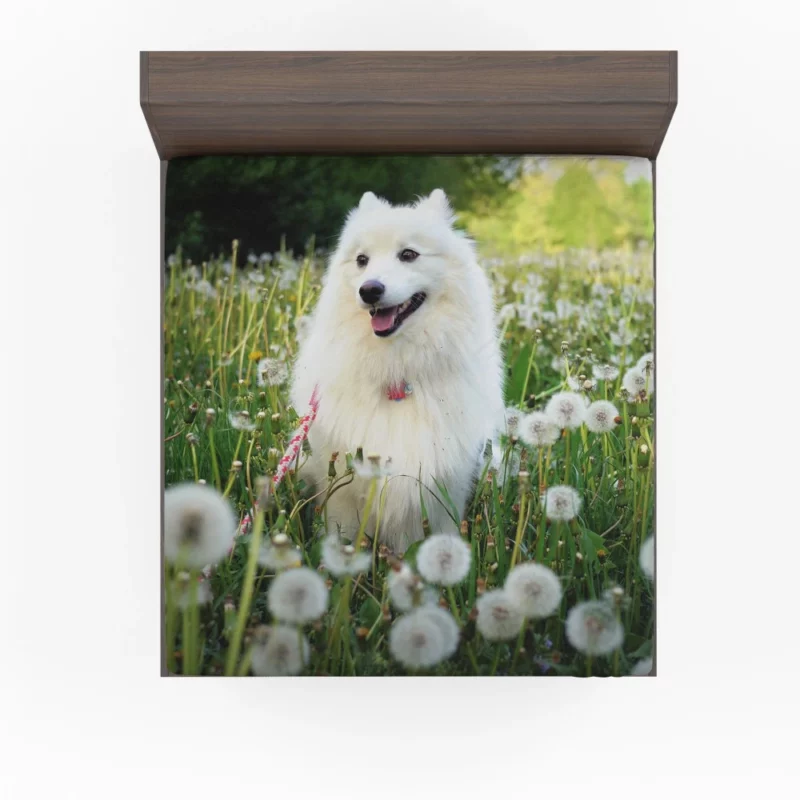 Shetland Sheepdog Amidst Dandelions Fitted Sheet 1