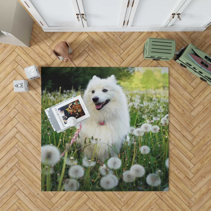 Shetland Sheepdog Amidst Dandelions Rug