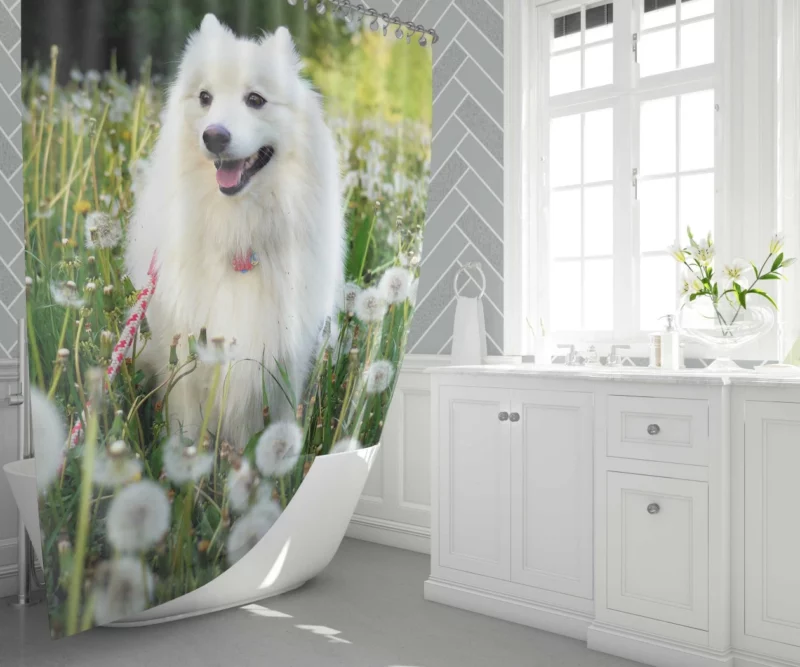 Shetland Sheepdog Amidst Dandelions Shower Curtain 1