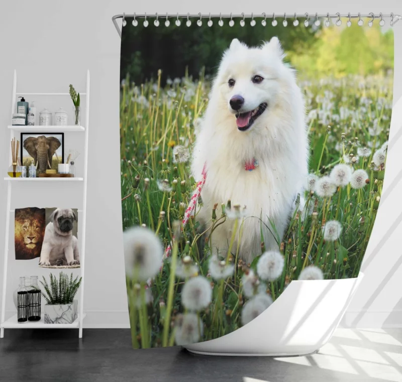 Shetland Sheepdog Amidst Dandelions Shower Curtain