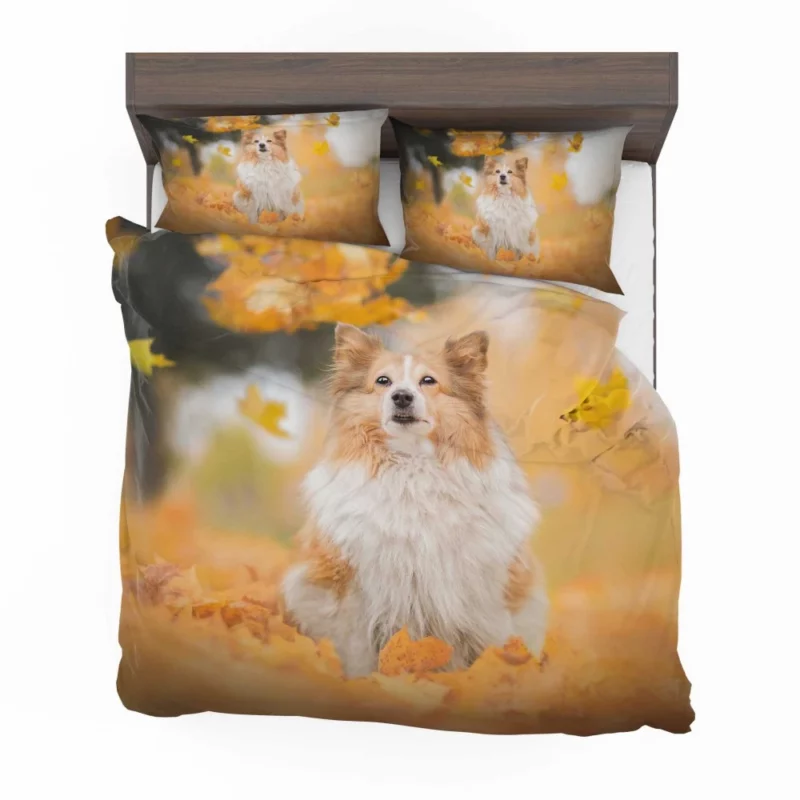 Shetland Sheepdog Amidst Fall Leaves Bedding Set 1