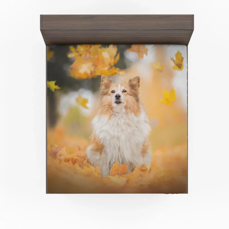 Shetland Sheepdog Amidst Fall Leaves Fitted Sheet 1