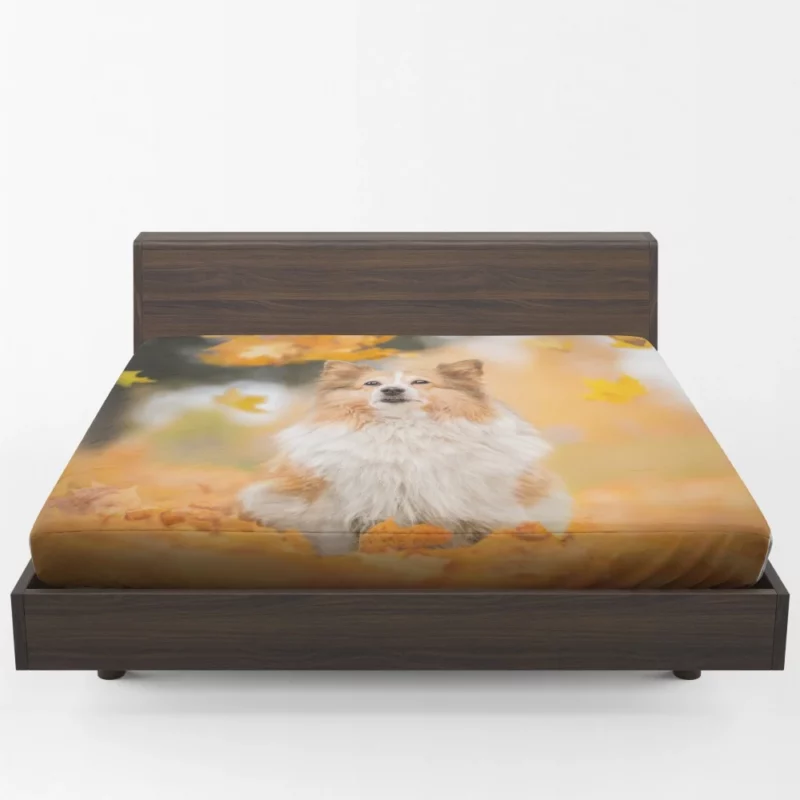 Shetland Sheepdog Amidst Fall Leaves Fitted Sheet