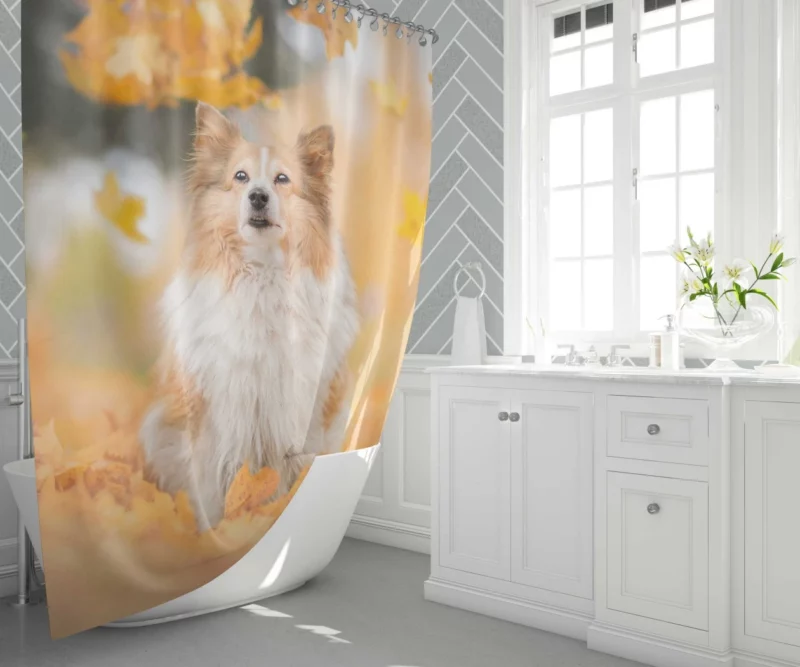 Shetland Sheepdog Amidst Fall Leaves Shower Curtain 1