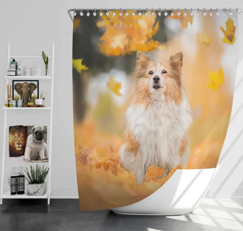 Shetland Sheepdog Amidst Fall Leaves Shower Curtain