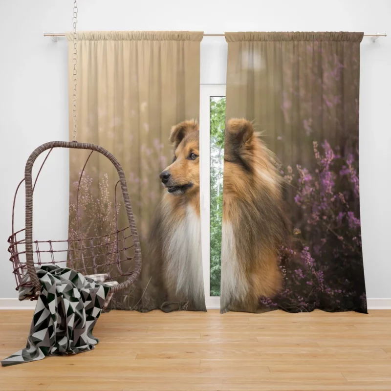 Shetland Sheepdog Amidst Flowers Curtain