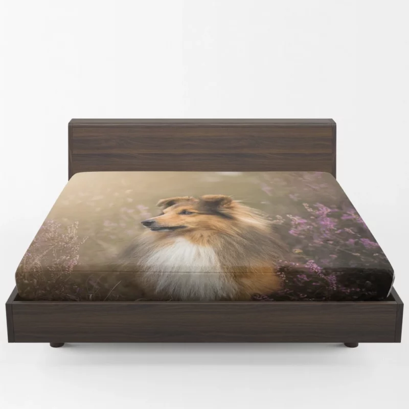 Shetland Sheepdog Amidst Flowers Fitted Sheet