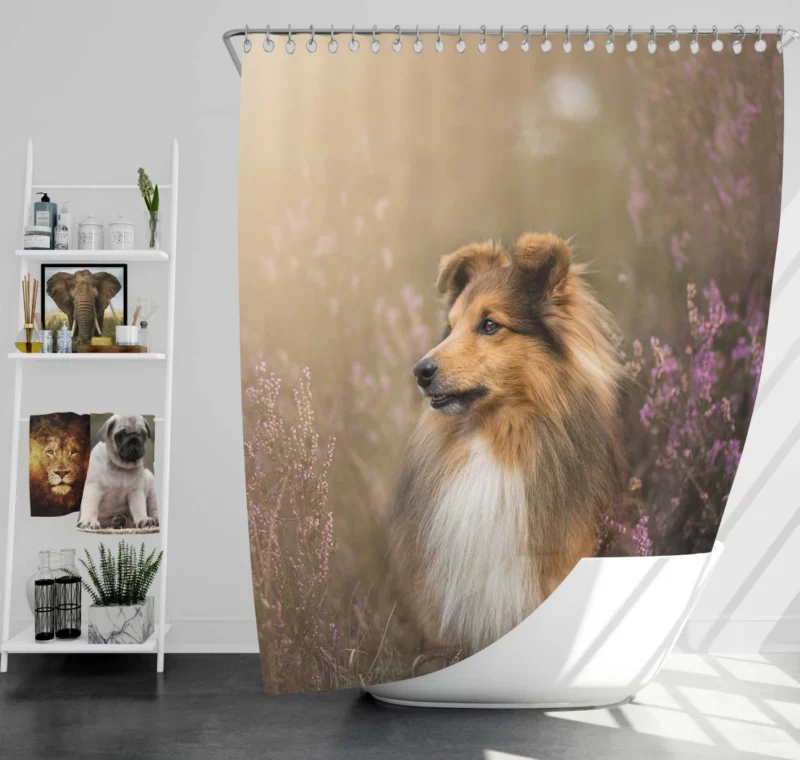 Shetland Sheepdog Amidst Flowers Shower Curtain