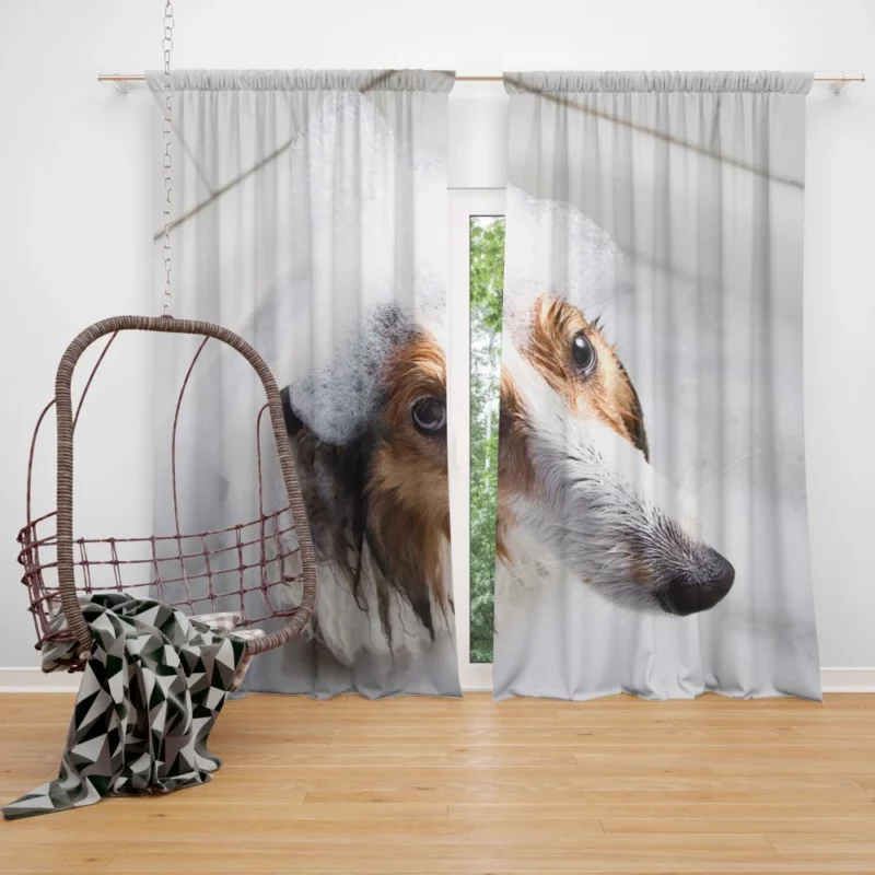 Shetland Sheepdog Bathtub Bliss Curtain