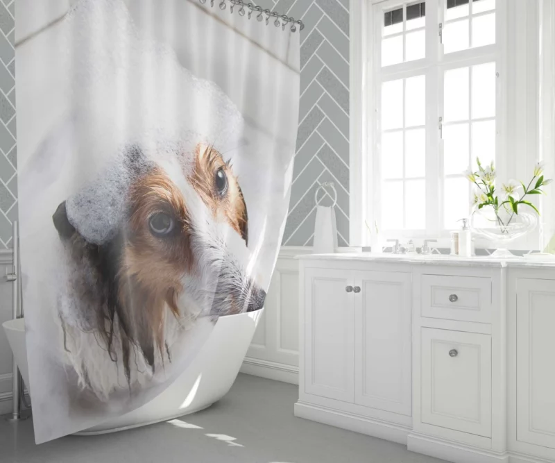 Shetland Sheepdog Bathtub Bliss Shower Curtain 1