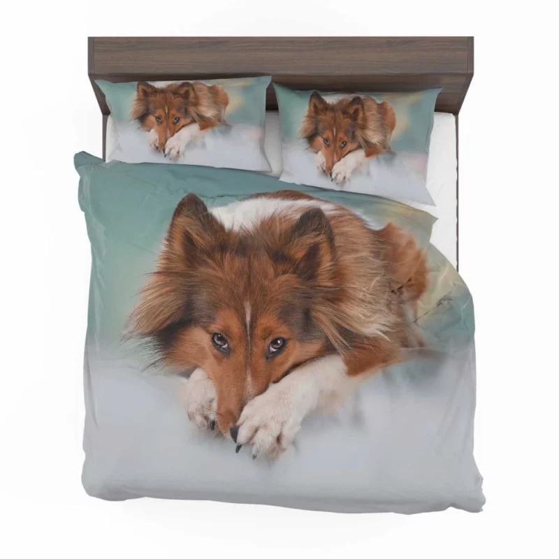 Shetland Sheepdog Intense Stare Bedding Set 1