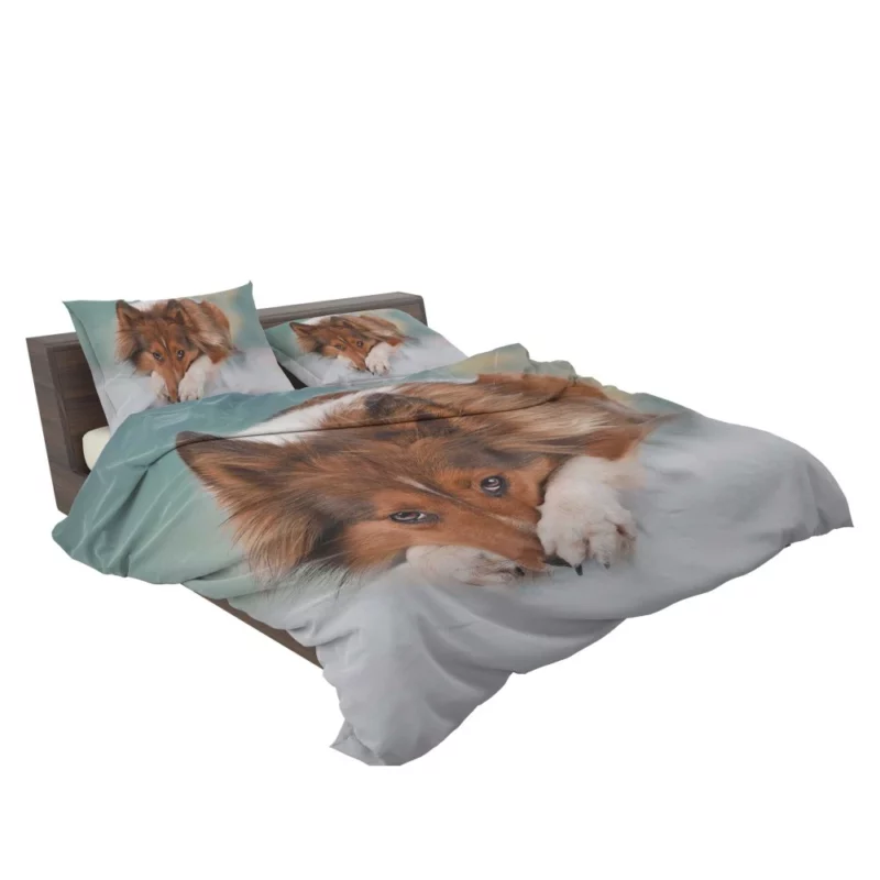 Shetland Sheepdog Intense Stare Bedding Set 2