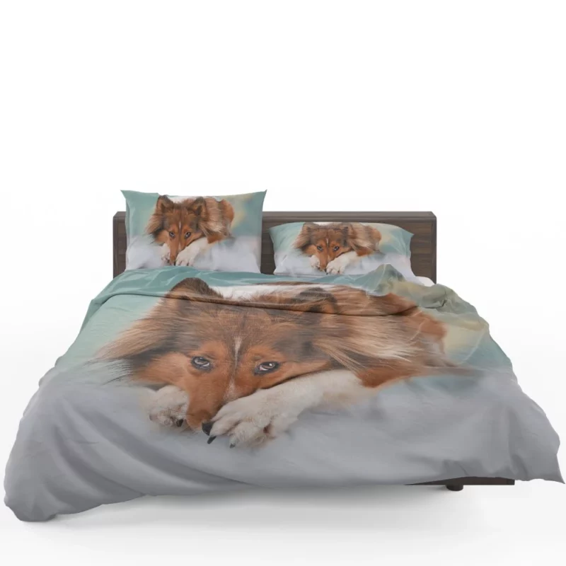 Shetland Sheepdog Intense Stare Bedding Set