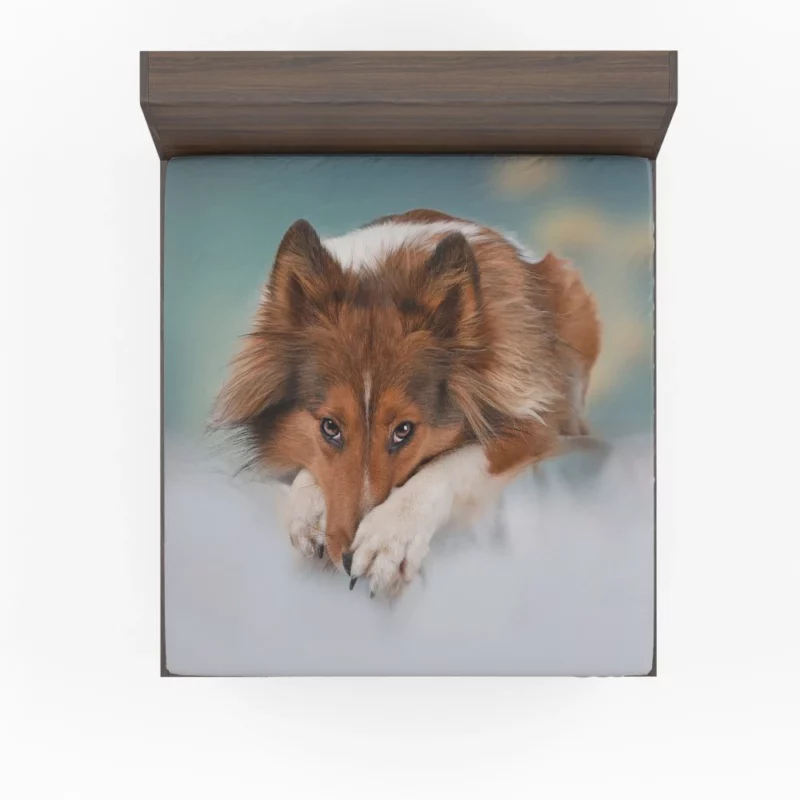 Shetland Sheepdog Intense Stare Fitted Sheet 1