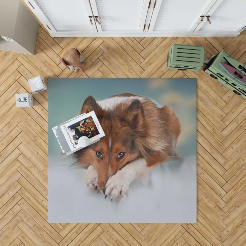 Shetland Sheepdog Intense Stare Rug