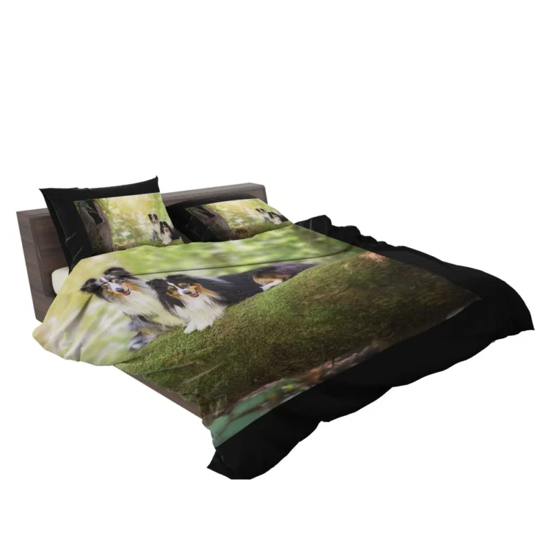 Shetland Sheepdog Playful Innocence Bedding Set 2