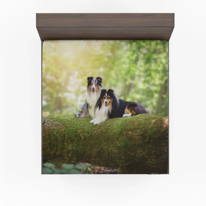 Shetland Sheepdog Playful Innocence Fitted Sheet 1