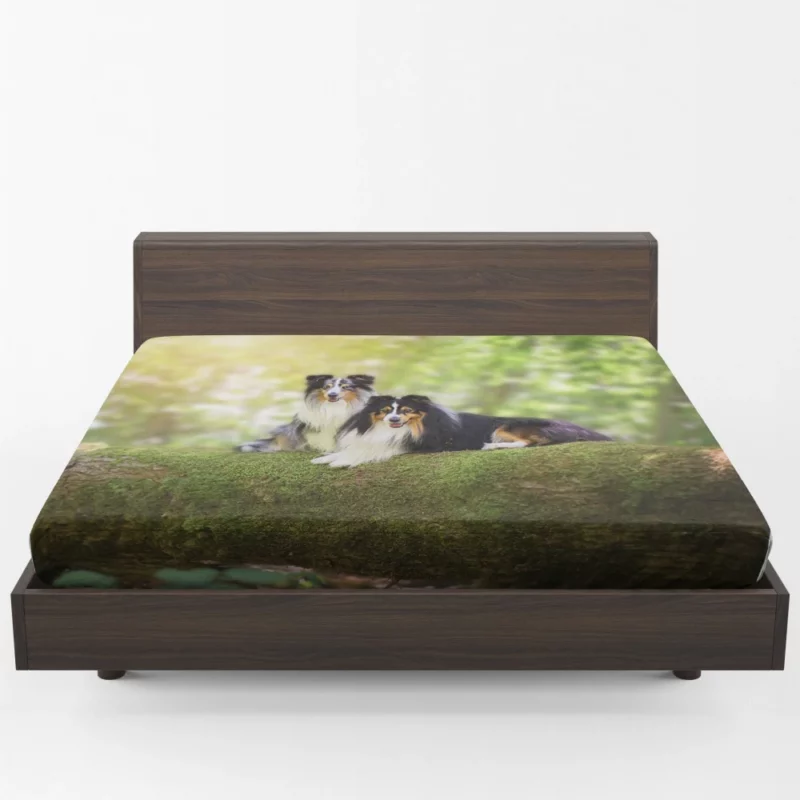 Shetland Sheepdog Playful Innocence Fitted Sheet