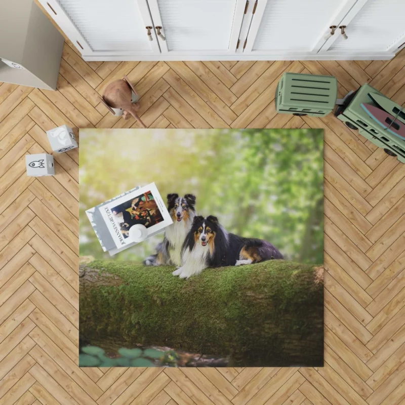 Shetland Sheepdog Playful Innocence Rug