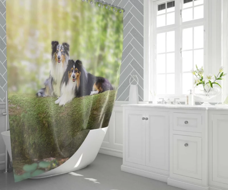 Shetland Sheepdog Playful Innocence Shower Curtain 1