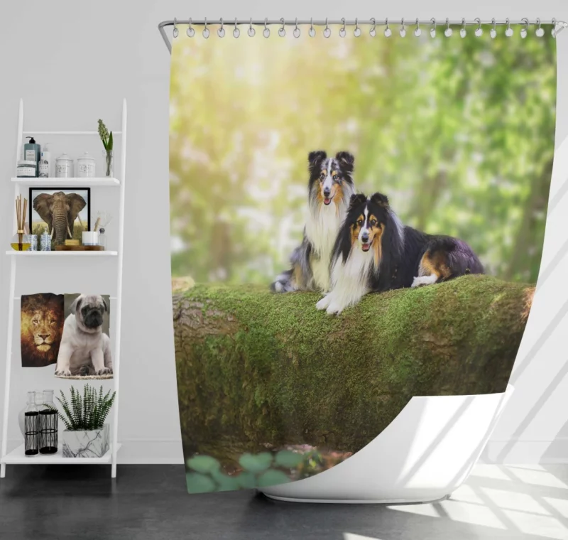 Shetland Sheepdog Playful Innocence Shower Curtain