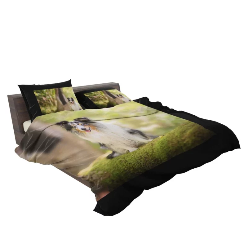 Shetland Sheepdog Wholesome Charm Bedding Set 2