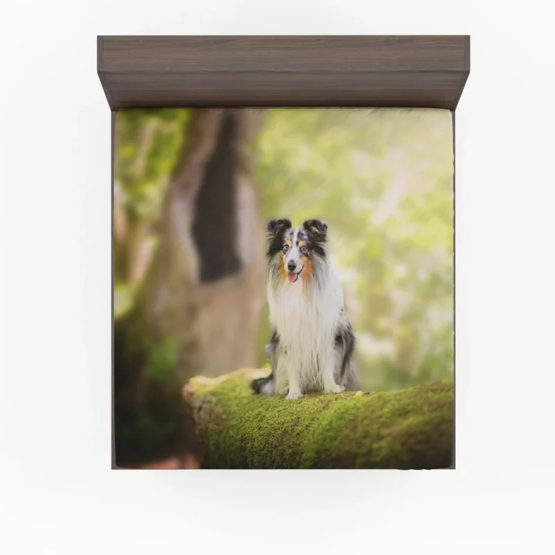 Shetland Sheepdog Wholesome Charm Fitted Sheet 1