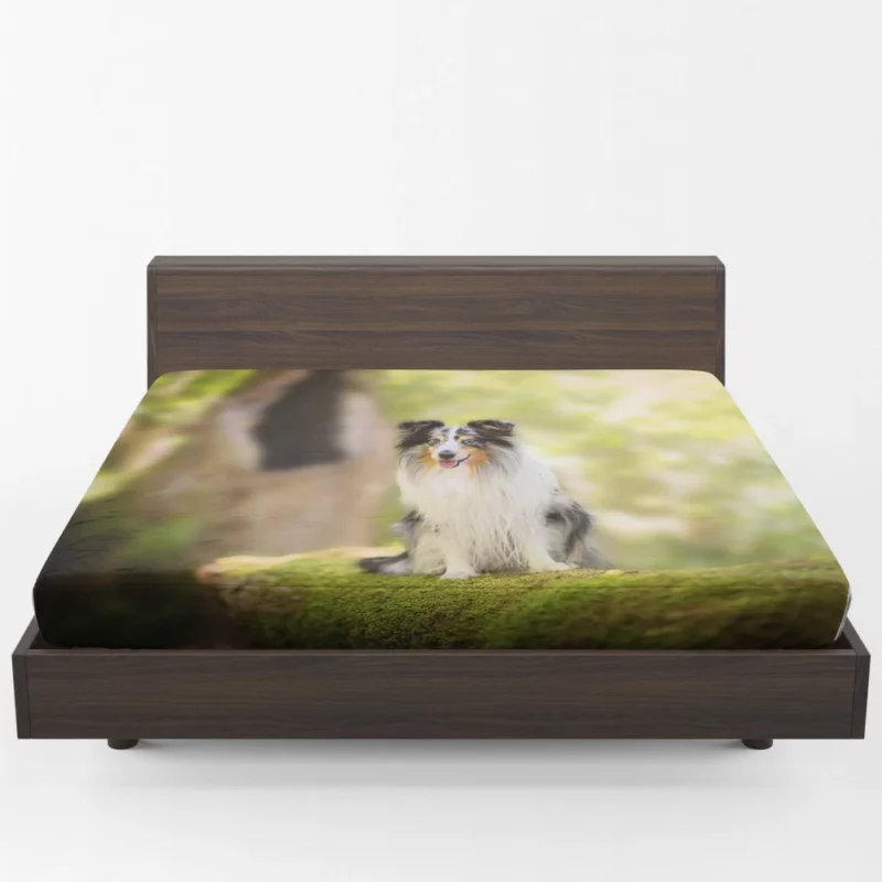 Shetland Sheepdog Wholesome Charm Fitted Sheet