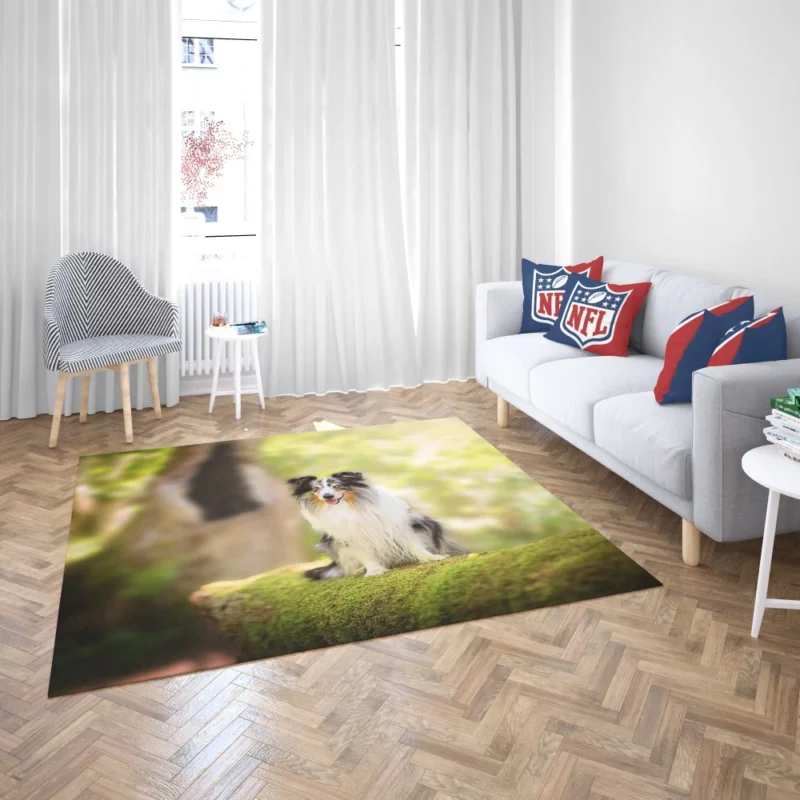 Shetland Sheepdog Wholesome Charm Rug 2