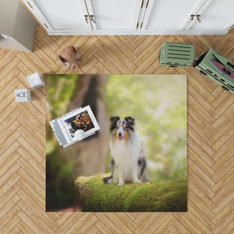 Shetland Sheepdog Wholesome Charm Rug