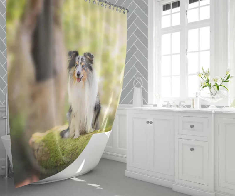 Shetland Sheepdog Wholesome Charm Shower Curtain 1