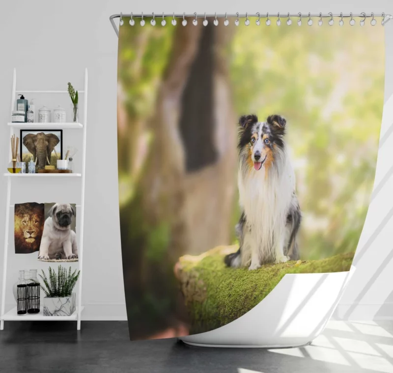 Shetland Sheepdog Wholesome Charm Shower Curtain