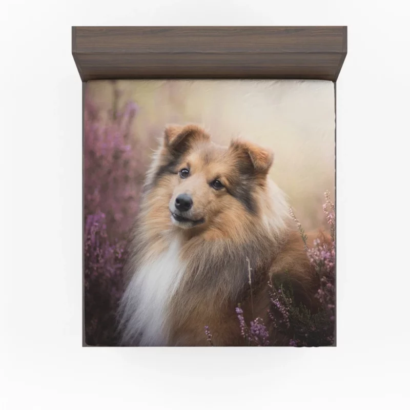 Shetland Sheepdog in Fall Embrace Fitted Sheet 1