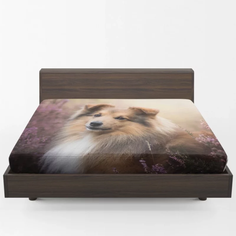 Shetland Sheepdog in Fall Embrace Fitted Sheet